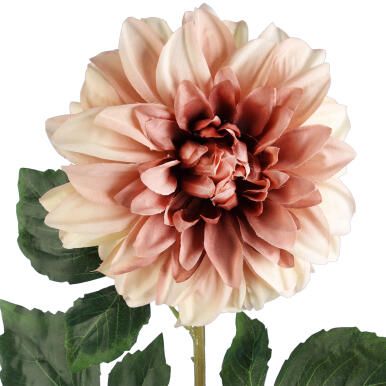 Dalia DUŻY kwiat pojedynczy BRĄZOWA 74 cm