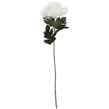 CHRYZANTEMA 76 CM BIAŁA