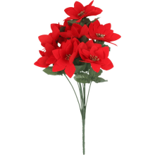Bukiet 12 POINSECJI 42 cm KOLOR CZERWONY
