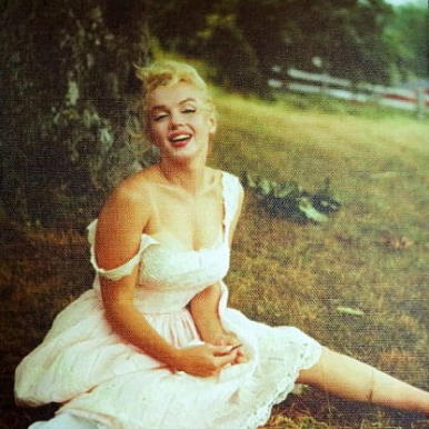 Obraz Marilyn Monroe na trawie płótno 35x25cm