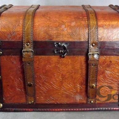 Kufer rudy [C5-0584/A]