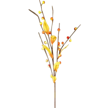 Gałązka z pomarańczowymi kulkami i liśćmi jesiennymi