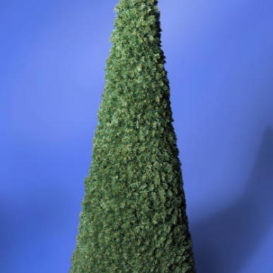 Stożek Zielony na Metalowej Konstrukcji, Wysokość 2m, Podstawa 0.6m