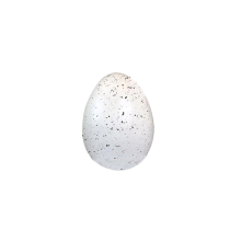 Białe Ceramiczne Jajko na Stojąco z Nakrapianym Wzorem 15x10cm