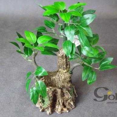 Miniatura Drzewka Bonsai o Wysokości 19cm