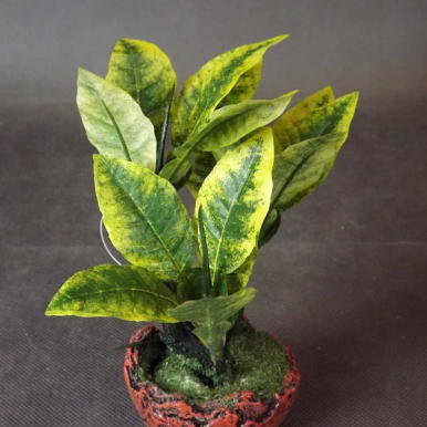 Drzewko Bonsai o Żółto-Zielonym Ubarwieniu, Wysokość 16cm