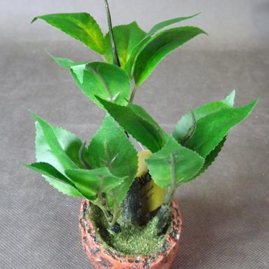 Miniatura Zielonego Drzewka Bonsai 16cm