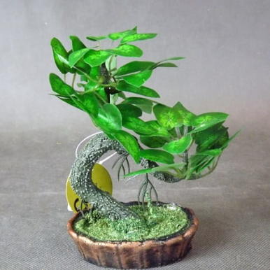 Miniatura Żywej Sztuki Bonsai
