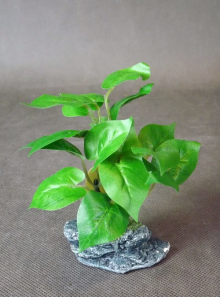 Miniaturka Drzewka Bonsai o Wielkości 12x10cm z Zielonymi Listkami