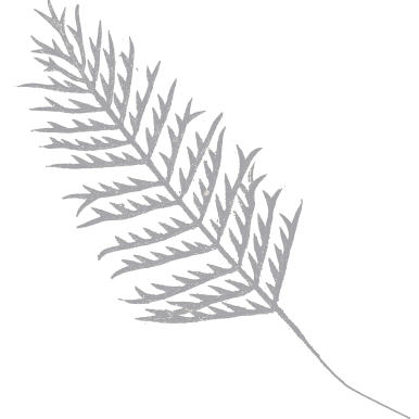 Gałązka brokatowa- biała paproć 