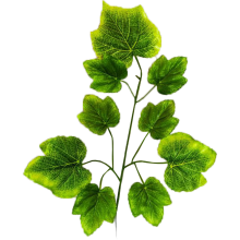 Zielony Dodatek do Kompozycji Kwiatowych: Gałązka z 9 Liśćmi