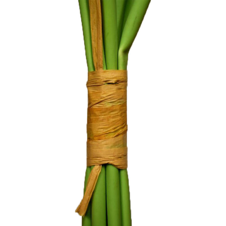 Bukiet 7 gerber na gumowanych łodygach w kolorze kremowym