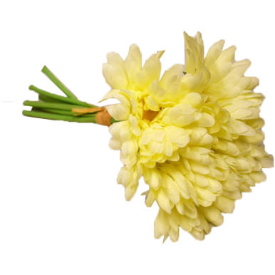 Bukiet 7 gerber na gumowanych łodygach w kolorze kremowym