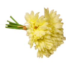 Bukiet 7 gerber na gumowanych łodygach w kolorze kremowym