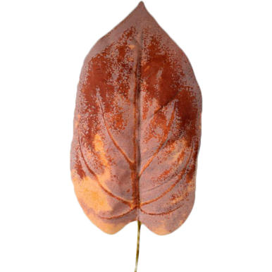 Jesienny liść omszały mix [PL]