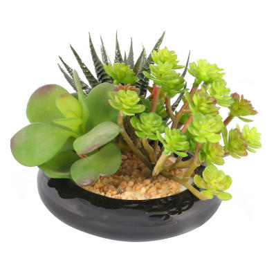 Sukulent płaska doniczka [ SZMG012 ]