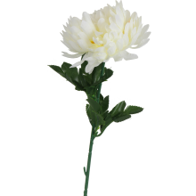 Chryzantema pojedynczy kwiat w kolorze białym 70 cm fi 12 cm