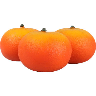 Siatka z Trzema Mandarynkami o Wielkości 5x7cm