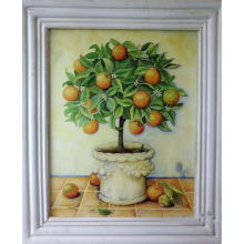 Obraz drzewo cytrusowe (pomarańcza) 25x38 cm