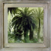 Obraz z palmą o wymiarach 38x38 cm.